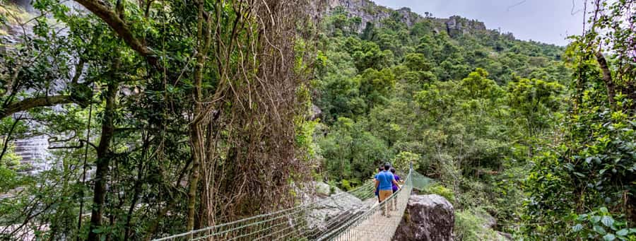 From Hazyview: Full-Day Guided Panorama Tour - Price and Logistics: What You Pay For, What You May Pay Extra For
