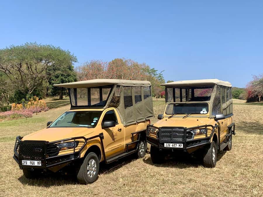 From Hazyview: Kruger National Park Full-Day Safari - The 10-Hour Day Plan: Pickup, Breakfast, Lunch, and the Second Search