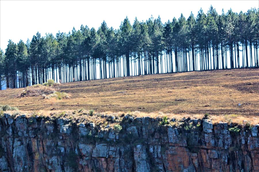 From Hazyview: Panorama Tour Highlights - What’s Included, What Costs Extra, And How To Budget