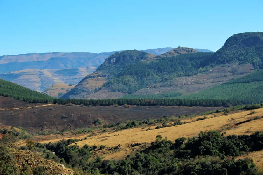 From Hazyview: Panorama Tour Highlights - God’s Window: The Famous Viewpoint With Real Expectations