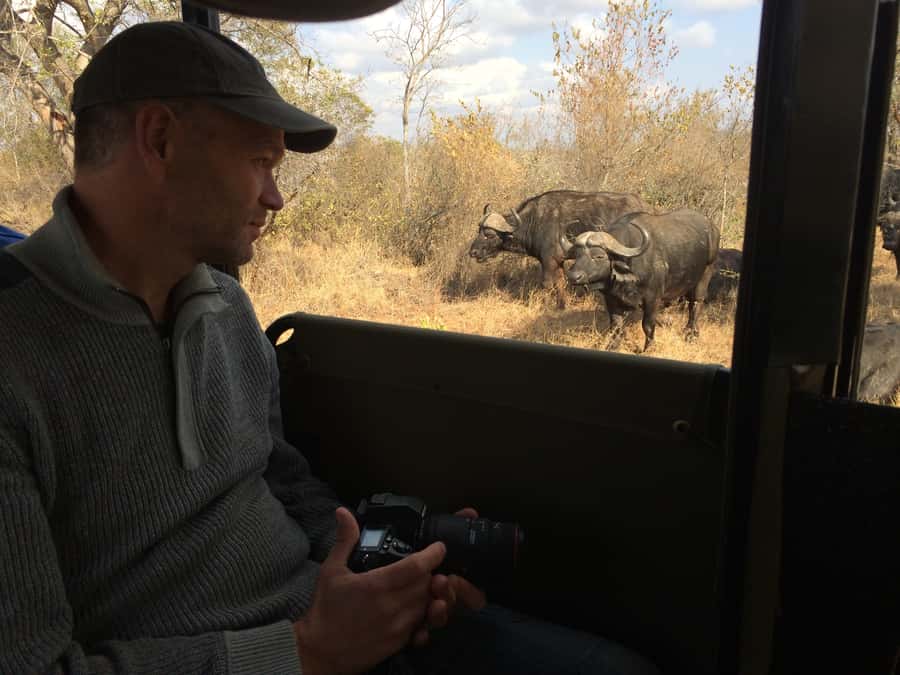 From Hazyview: Private Afternoon Game Drive - Key Things That Make This Afternoon Kruger Drive Worth It