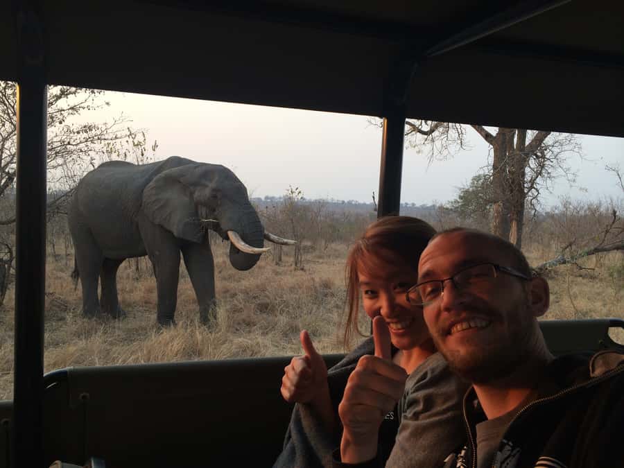 From Hazyview: Private Afternoon Game Drive - Linger Time Matters: Letting Animals Show Their Behavior