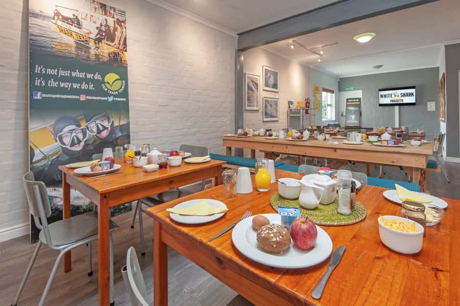 From Hermanus or Cape Town: Shark Cage Diving Experience - Meals, Snacks, and the Post-Trip Comfort You’ll Appreciate