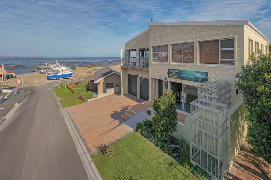 From Hermanus or Cape Town: Shark Cage Diving Experience - The Road to Gansbaai: Pickup From Cape Town or Hermanus