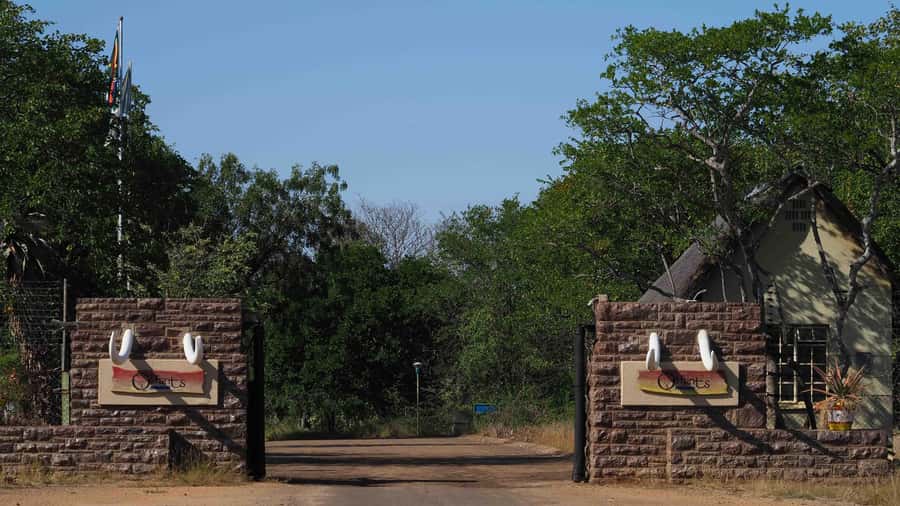 From Johannesburg: 2-Day Safari into Kruger National Park - Big Five promises, realistic expectations, and how the guide affects outcomes