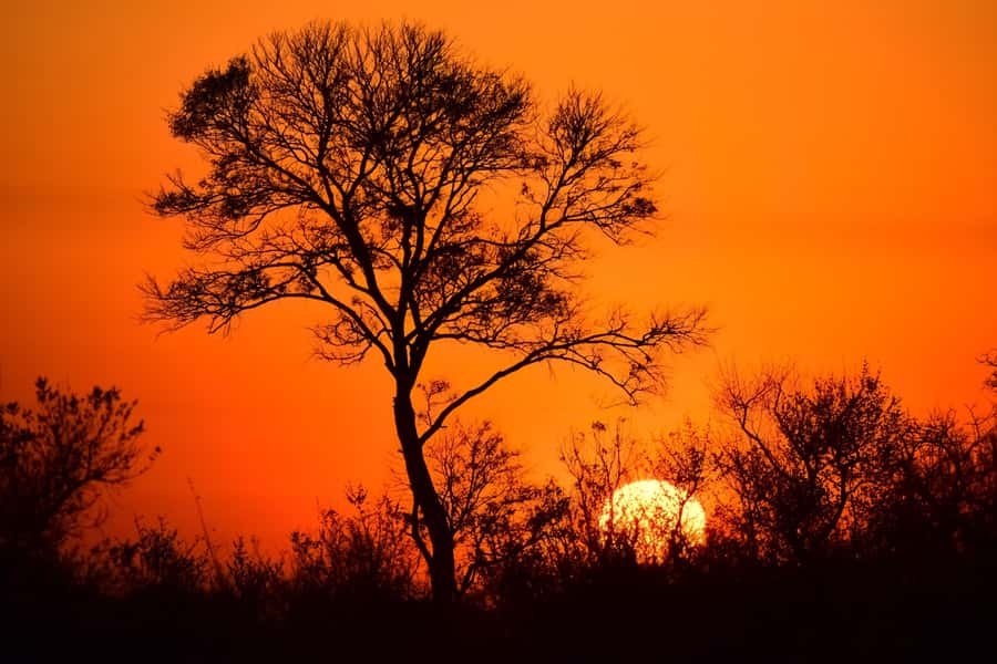 From Johannesburg: 2-Day Safari into Kruger National Park - Quick packing list that matches the day plan