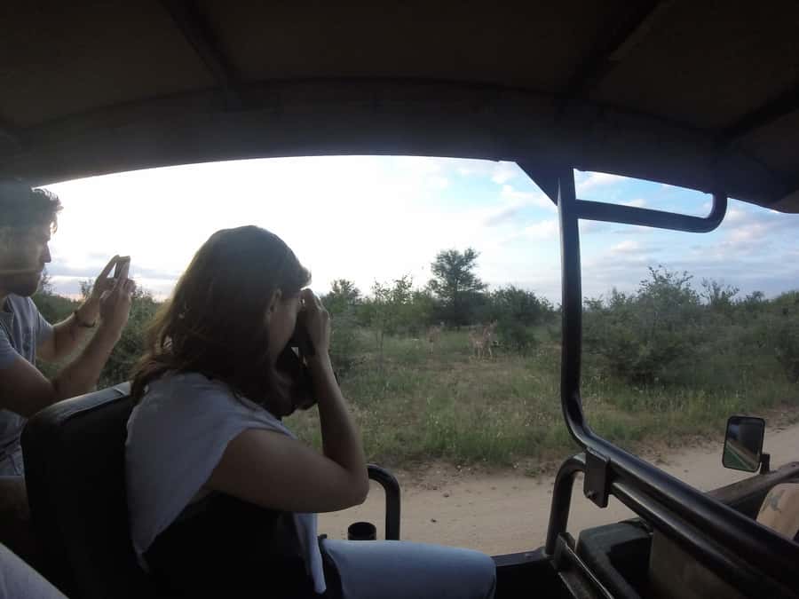 From Johannesburg: 3-Day Budget Tent Kruger Park Safari - Key highlights to know before you go