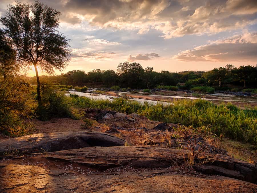 From Johannesburg: 3-Day Budget Tent Kruger Park Safari - The African bush BBQ, then a night drive and tent sleep at Campfire Academy