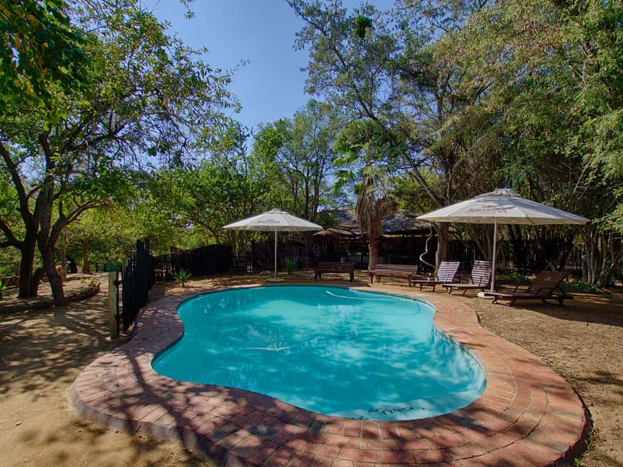 From Johannesburg: 3-Day Budget Tent Kruger Park Safari - Daytime safari: Orpen in Kruger for wildlife and bird-watching