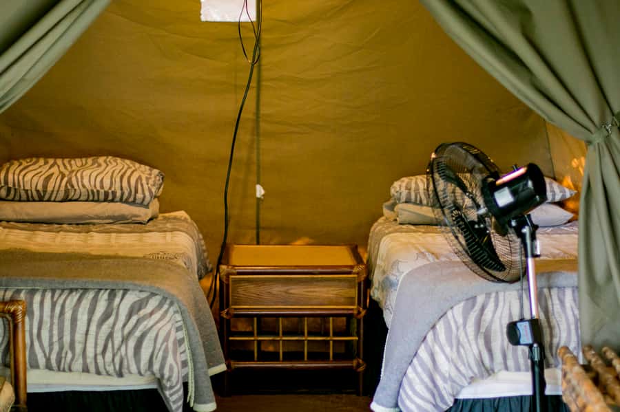 From Johannesburg: 3-Day Budget Tent Kruger Park Safari - Marc’s Camp: dinner in the tents and an early walk with an armed guard