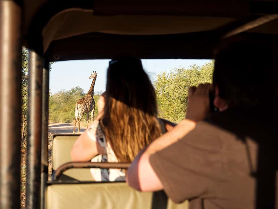 From Johannesburg: 3-Day Budget Tent Kruger Park Safari - Balule sunset drive and night spotting in an open Land Cruiser