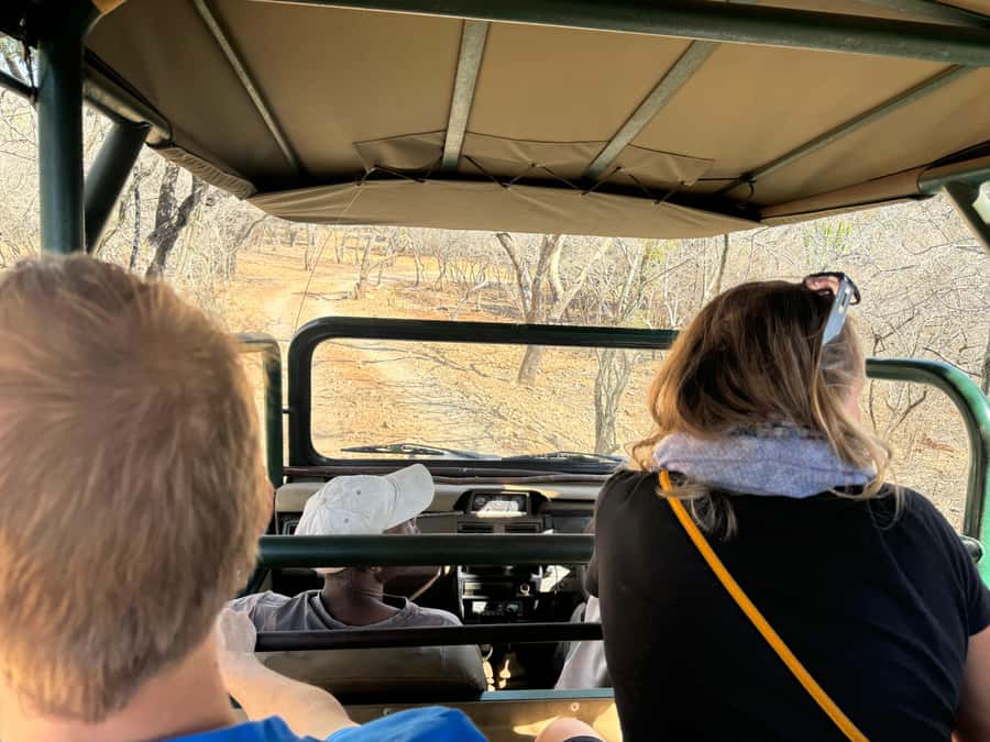From Johannesburg: Cheetah Tour - Price and value: is $202 per person fair?