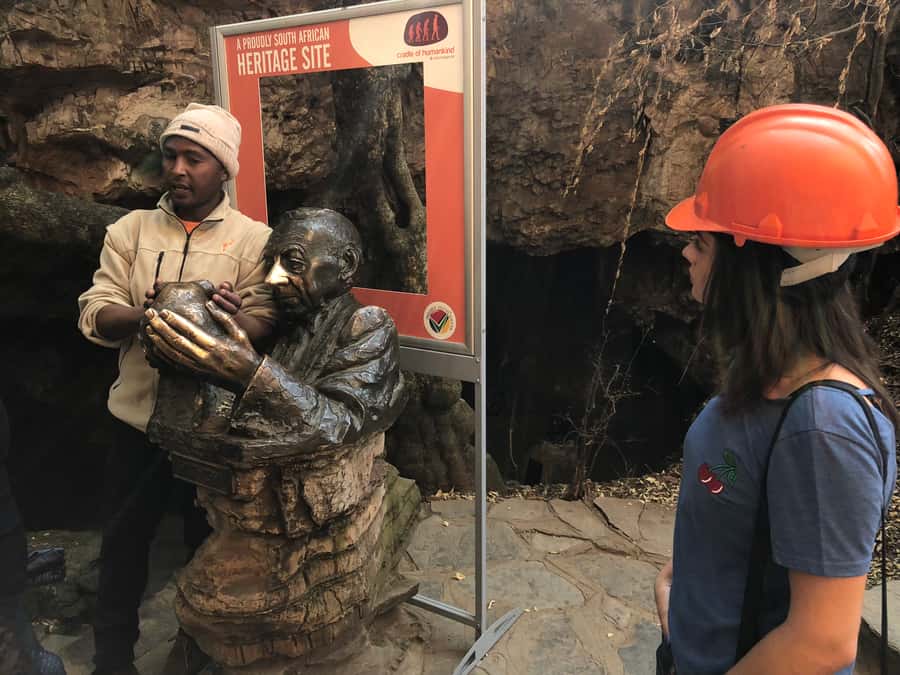 From Johannesburg: Cradle of Humankind and Lion Safari - Key takeaways before you go