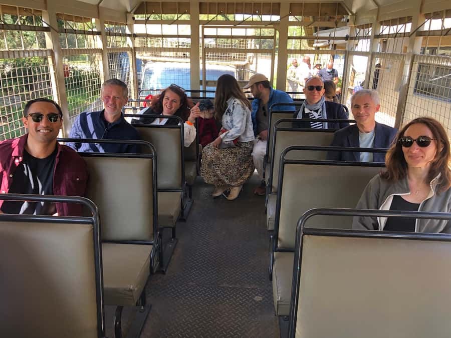 From Johannesburg: Cradle of Humankind and Lion Safari - Price and Value: What $224 Covers (and What It Doesn’t)