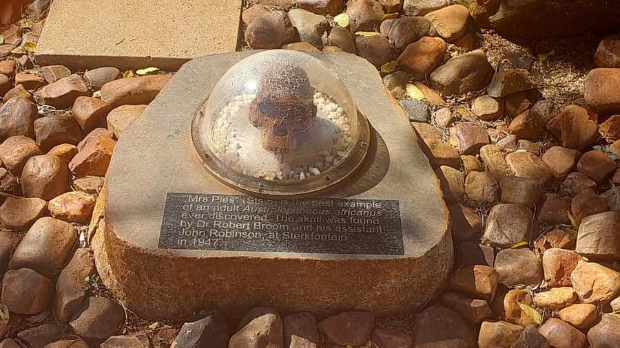 From Johannesburg: Cradle of Humankind Private Half-Day Tour - From Johannesburg to the Cradle of Humankind, how the half-day really flows
