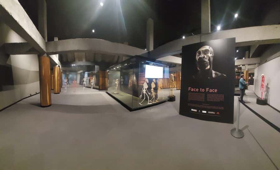 From Johannesburg: Cradle of Humankind Private Half-Day Tour - Who should book this tour, and who might want a different plan