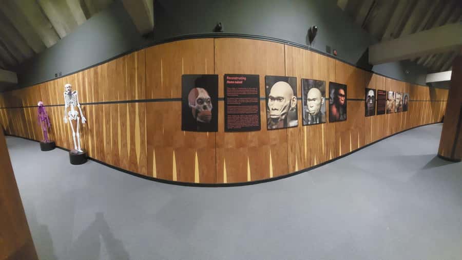From Johannesburg: Cradle of Humankind Private Half-Day Tour - Maropeng Visitor Centre, your evolution starter kit