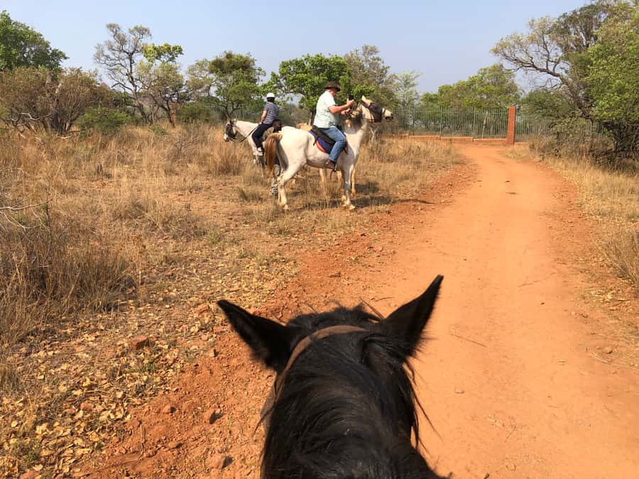 From Johannesburg: Horse-Riding Safari and Cable Car Tour - Price and Value: Is $242 Reasonable for This Day?