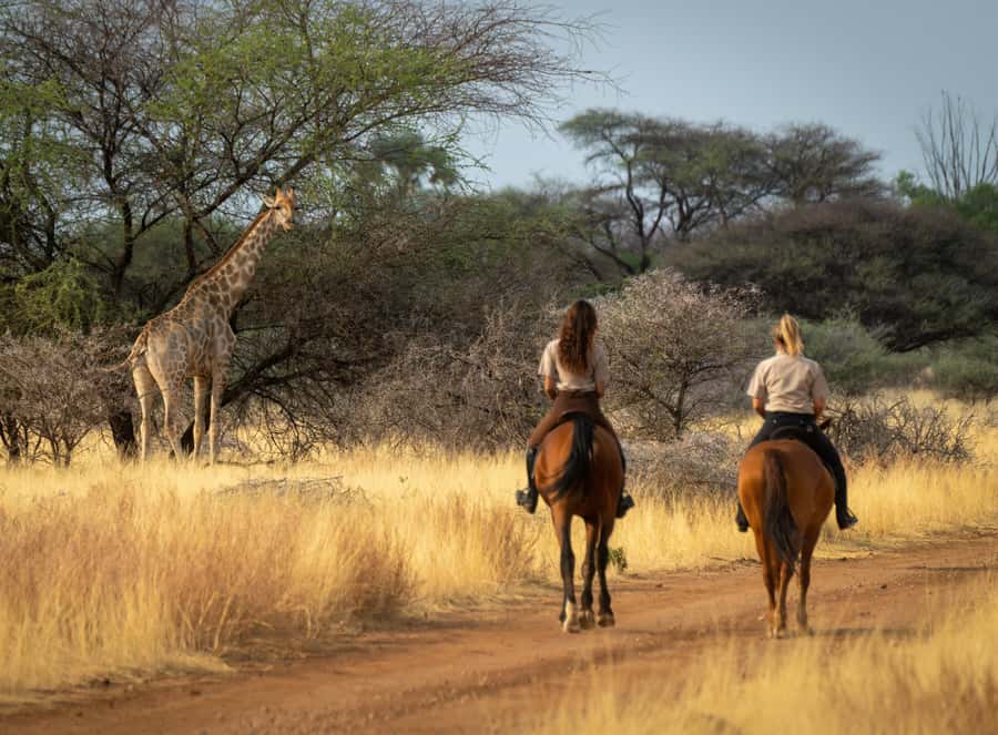 From Johannesburg: Horse-Riding Safari and Cable Car Tour - Why This Horse Safari and Cable Car Combo Works