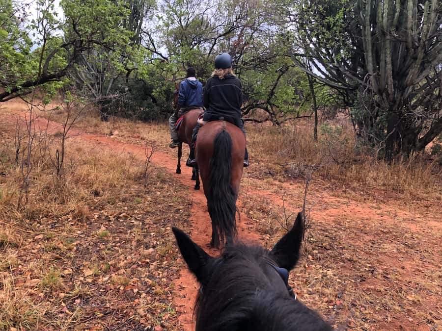 From Johannesburg: Horse-Riding Safari and Cable Car Tour - Between Riding and the Cable Way: A Short Transfer Moment