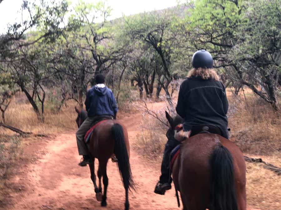 From Johannesburg: Horse-Riding Safari and Cable Car Tour - The Magaliesberg Gondola Ride: Panoramic Views With a Slow Pace