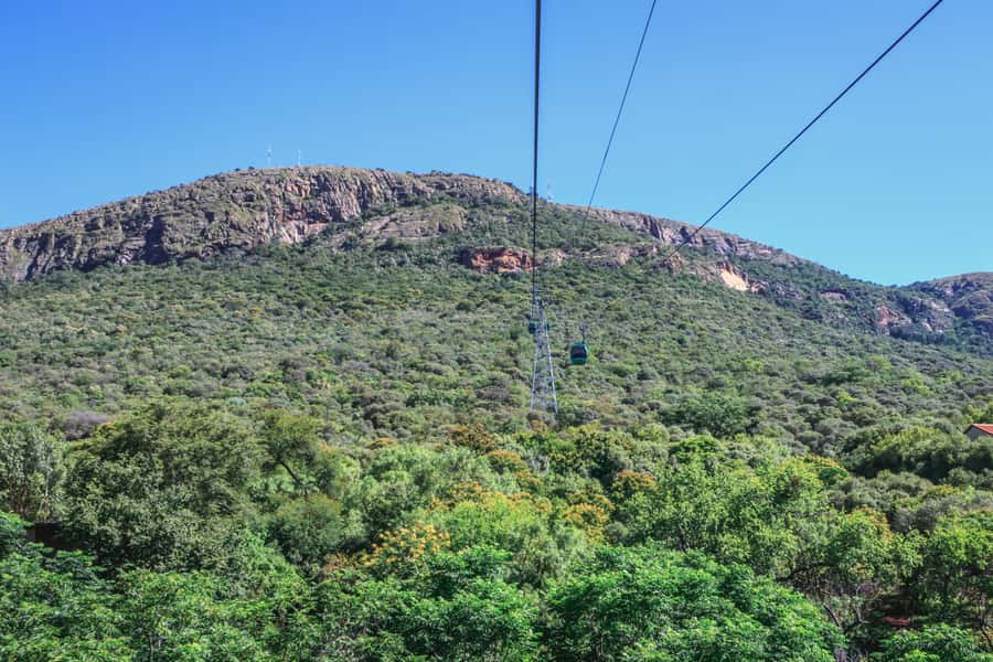 From Johannesburg: Horse-Riding Safari and Cable Car Tour - Lunch and Food Reality: What You Need to Plan For