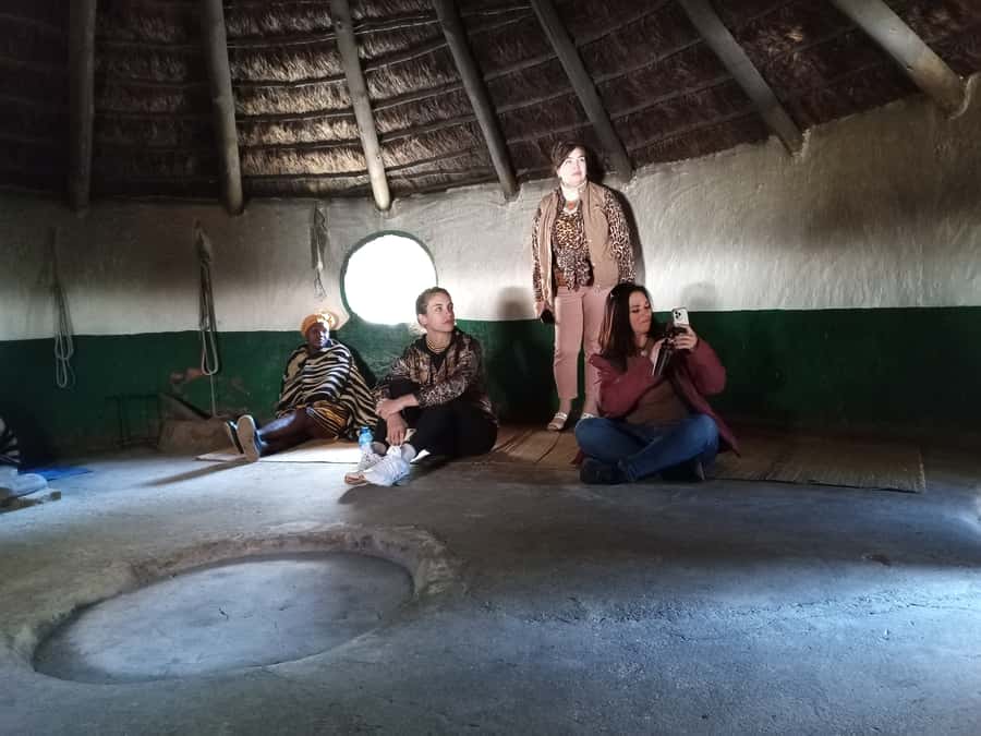 From Johannesburg: Lesedi Cultural Village & Lion Park Tour - Lesedi Cultural Village: dances, languages, history, and that satisfying lunch finish