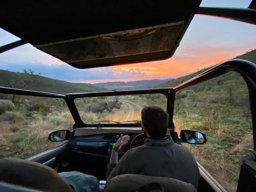 From Johannesburg: Pilanesberg Nature Reserve Game Safari - Johannesburg to Pilanesberg: What This Day Trip Really Feels Like