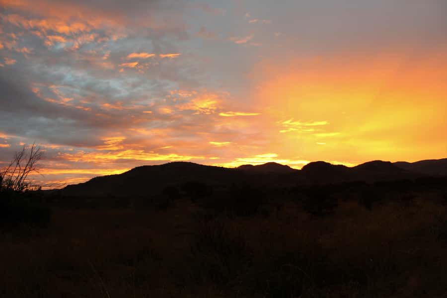 From Johannesburg: Pilanesberg Nature Reserve Game Safari - What to Pack and Wear for an Open-Vehicle Day