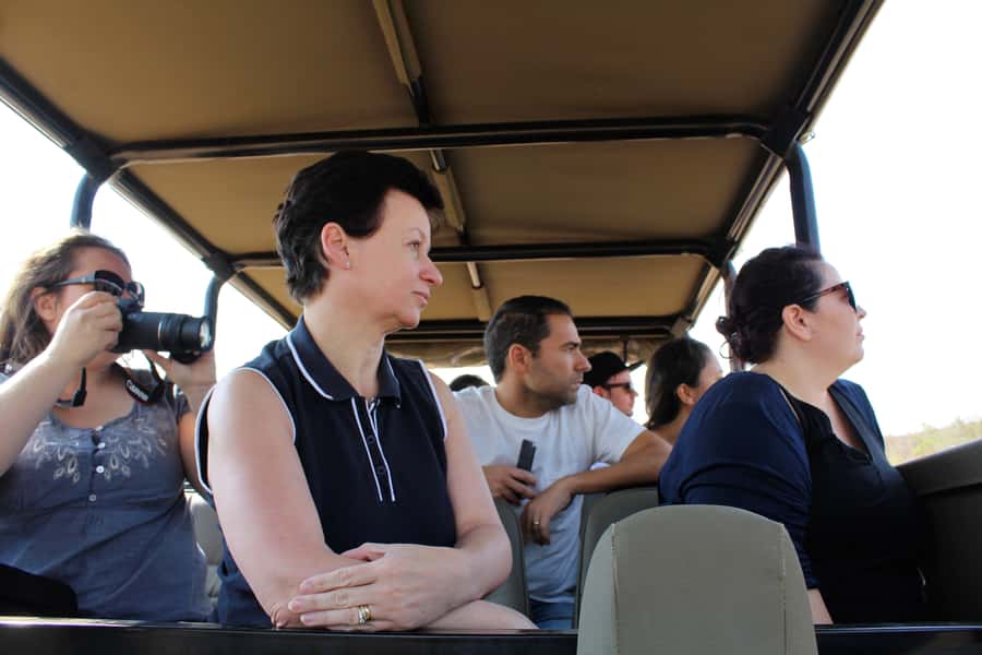 From Johannesburg: Pilanesberg Nature Reserve Game Safari - Guides and Vehicles: What Makes the Experience Feel First-Class
