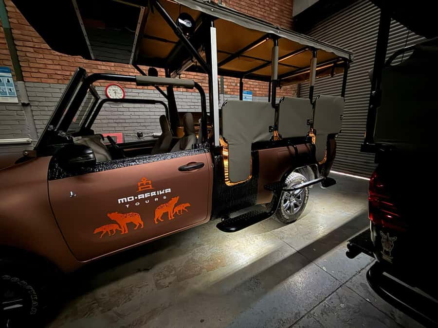 From Johannesburg: Pilanesberg Nature Reserve Game Safari - The Morning Game Drive: Open-Air Wildlife Time and Dam Birds