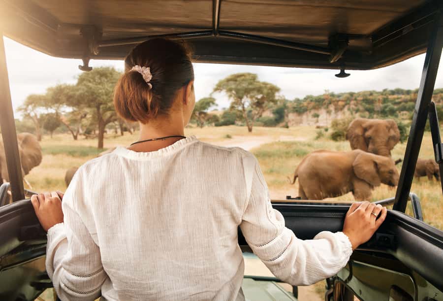 From Johannesburg: Pilanesberg Wildlife Safari - Second Game Drive (About 2 Hours): Finishing Strong