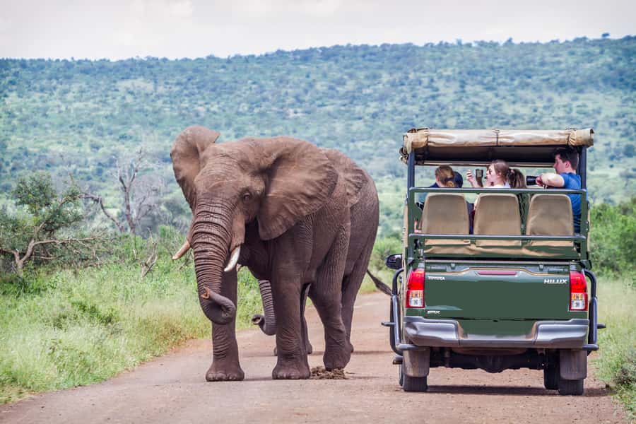 From Johannesburg: Pilanesberg Wildlife Safari - Arriving at Pilanesberg: Where You Switch Vehicles and Start Looking