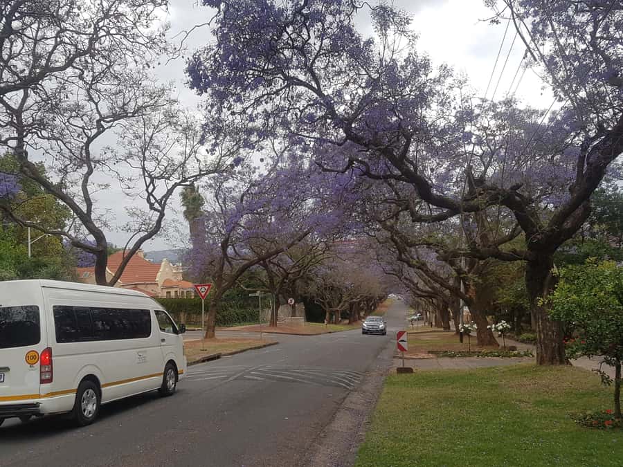 From Johannesburg: Pretoria Half Day Tour - Meeting Your Guide: The Real Difference Maker