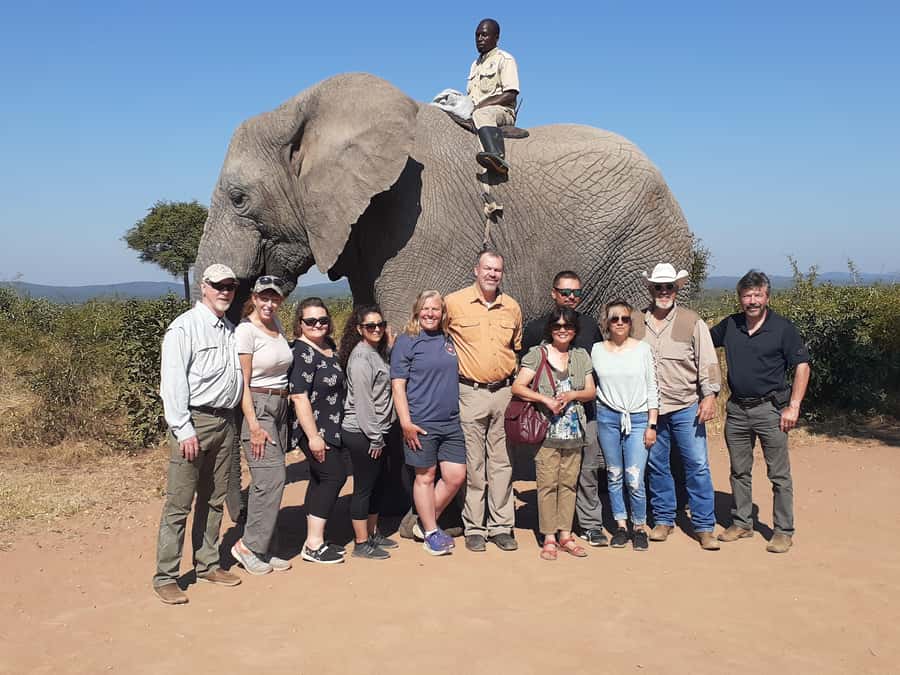 From Malelane: Half Day Kruger Park Wildlife Safari - Key things that make this safari a smart pick