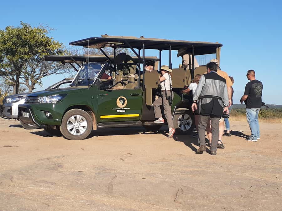From Malelane: Half Day Kruger Park Wildlife Safari - Big Five odds: what a guide actually changes for you