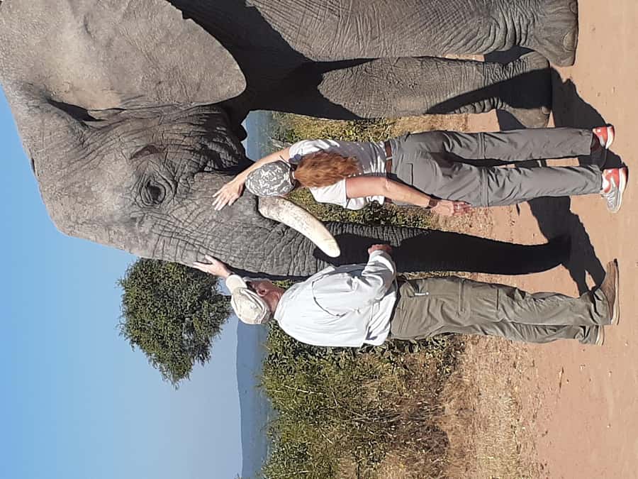 From Malelane: Kruger National Park Full-Day Safari - Comfort stops on the return route, and the gate closing timing