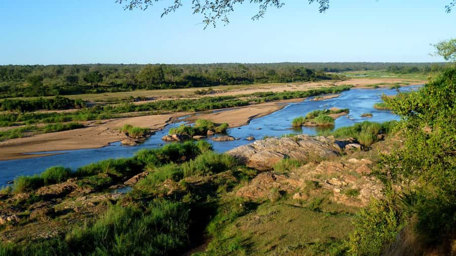 From Marloth Park: Sunset River Cruise Safari - Key things you’ll notice on this river safari
