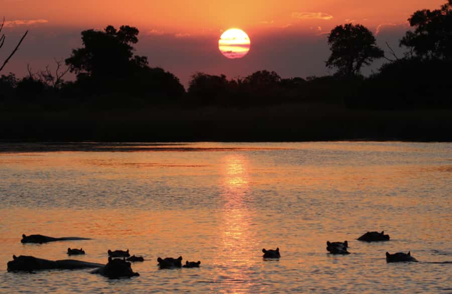 From Marloth Park: Sunset River Cruise Safari - The 3-hour cruise flow: from launch to sky change