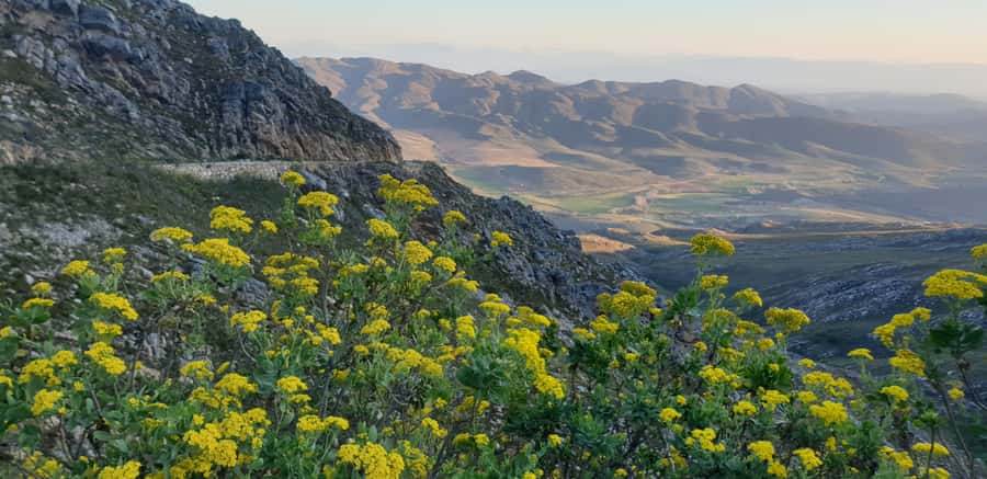 From Oudtshoorn: Full-Day Private Swartberg Mountain Tour - Meiringspoort Waterfall: A 60-Meter Stop in a Narrower World