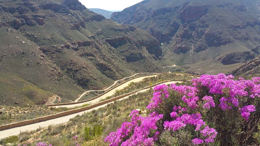 From Oudtshoorn: Full-Day Private Swartberg Mountain Tour - Ending at De Rust: Peaceful Village Time and the Return Ride