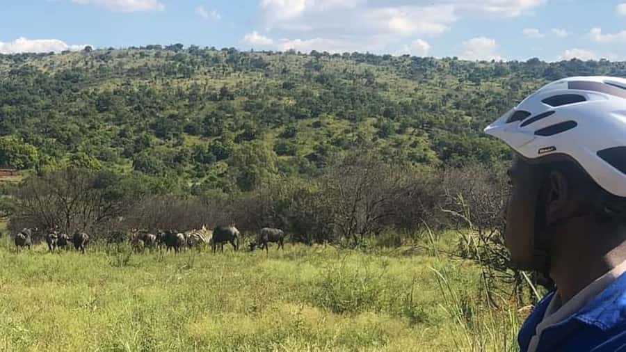 From Pretoria: E-Bike in the wild with game near Jo'burg - The route is designed for sightings, not for thrill-seeking trails