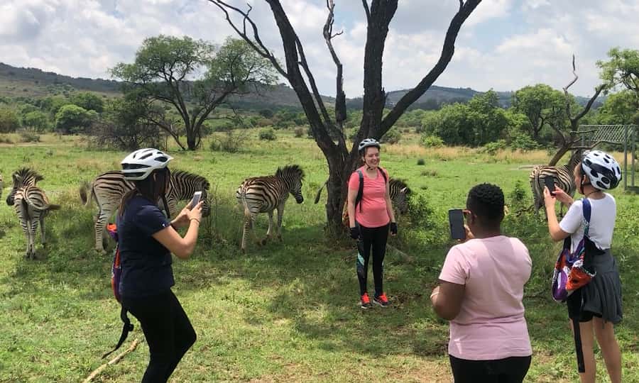 From Pretoria: E-Bike in the wild with game near Jo'burg - Tea-time treats after the ride, a proper South African finish