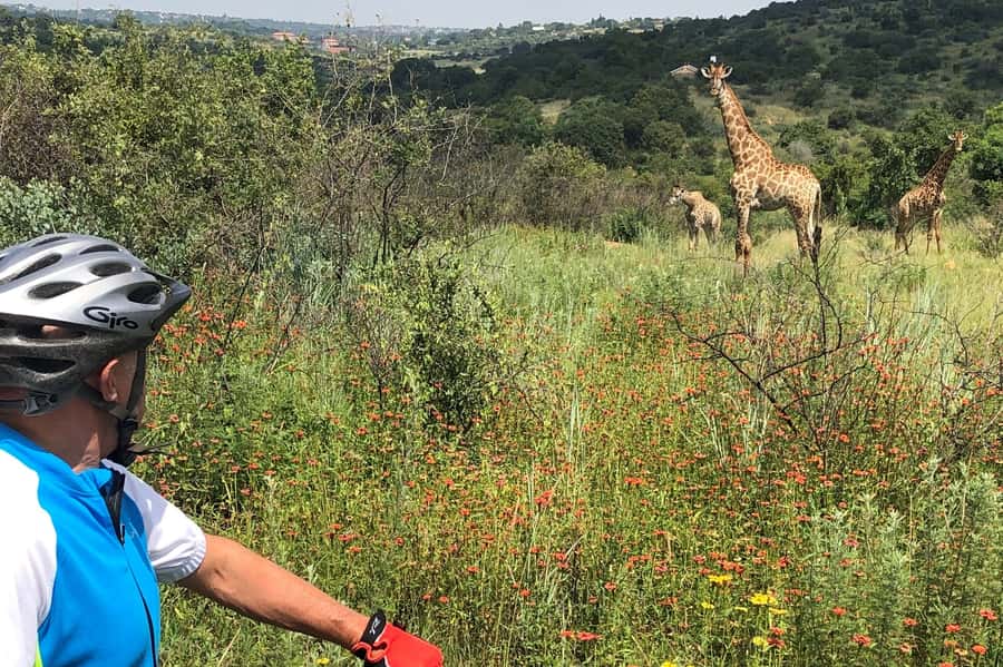 From Pretoria: E-Bike in the wild with game near Jo'burg - Who should book this e-bike safari, and who should skip it