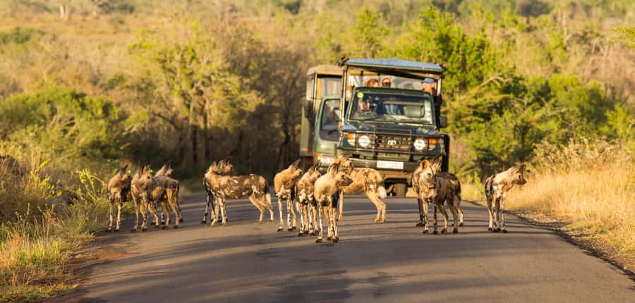 From St Lucia: 3 Day 2 Night Hluhluwe,St Lucia, iSimangaliso - What $383 per person really buys you in this 3-day format