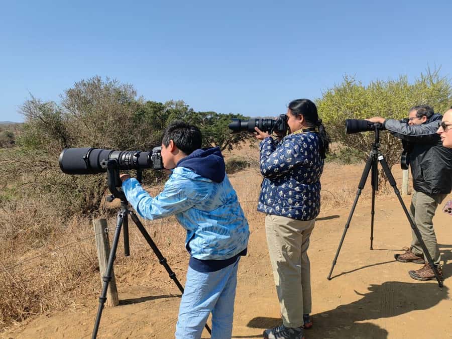 From St Lucia: Big 5 Safari in the Hluhluwe-Imfolozi Park - Briefing, safety, and comfort details that actually help