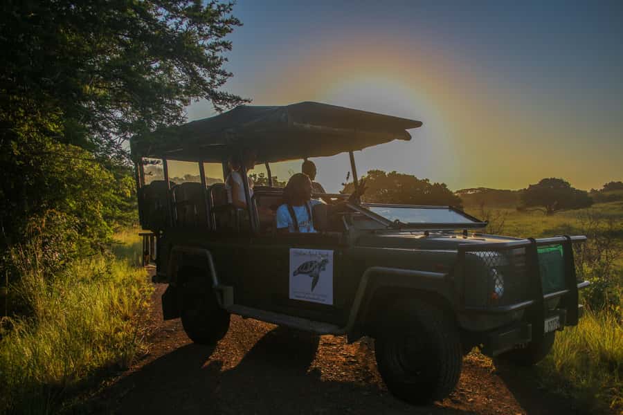 From St Lucia: Cape Vidal Full-Day Snorkeling Safari - A full-day route that mixes big wildlife with real snorkeling