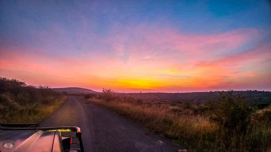From St Lucia: iSimangaliso Sunset Safari - Why this St Lucia sunset safari works (and what it actually is)