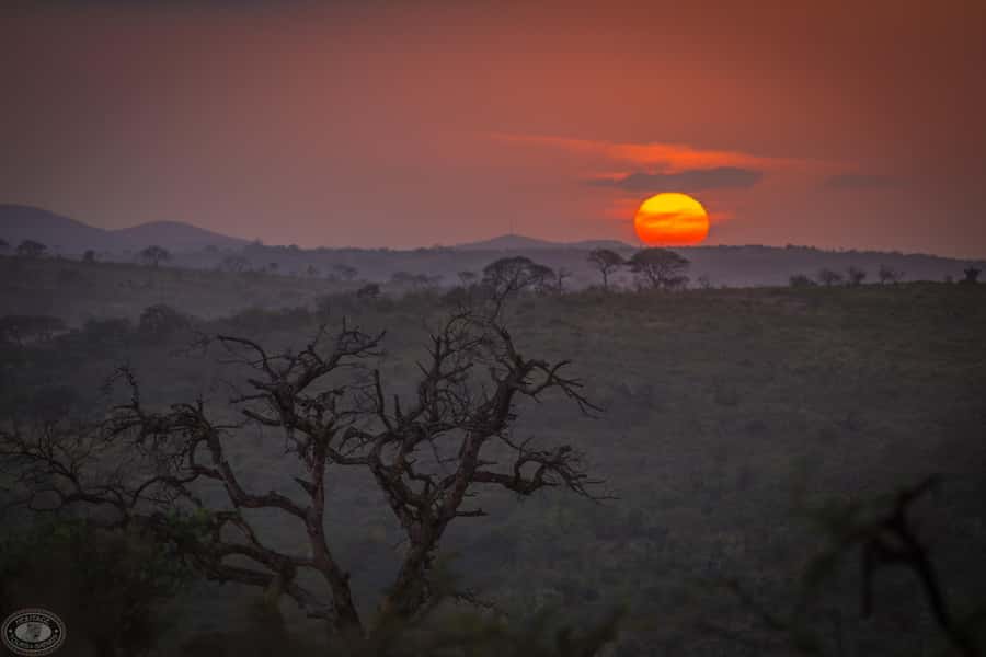 From St Lucia: iSimangaliso Sunset Safari - Price and value: is $39 a good deal?