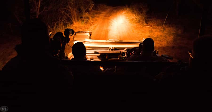 From St Lucia: iSimangaliso Wetland Park Night Drive Safari - What you do inside the safari vehicle (and why small groups help)